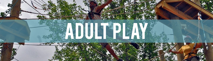 A man dives for a rope on the challenge course. The words Adult Play are written over the image.