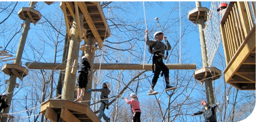 Terrapin Adventures Team Building Programs Terrapin Adventures Team Building Programs