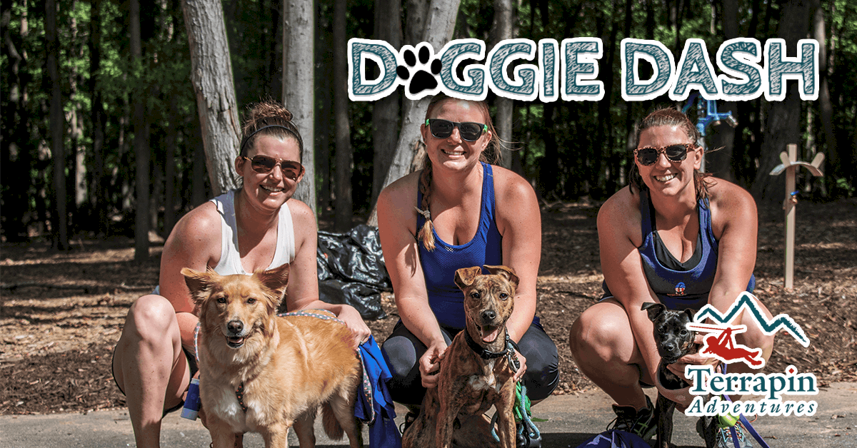 Doggie Dash 2017